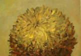 Хризантема (портрет увядающего цветка)